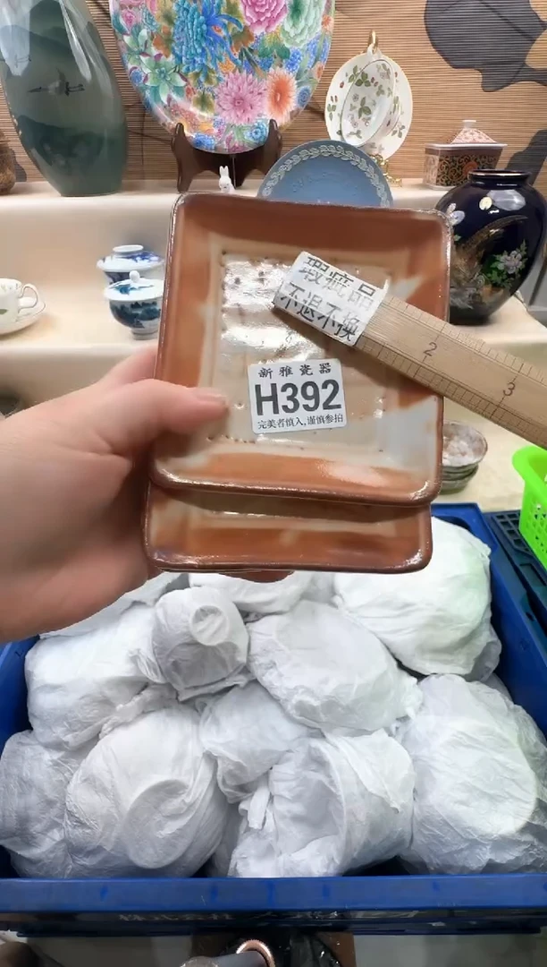 瓷片L****3          H392