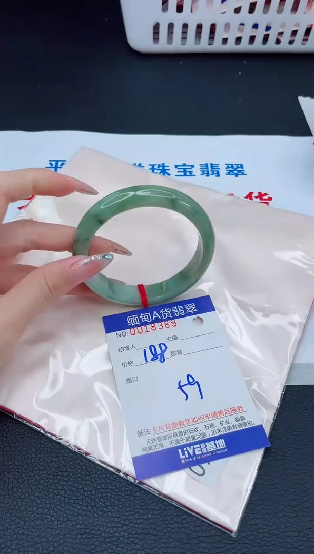 未镶嵌手镯翡翠1 W