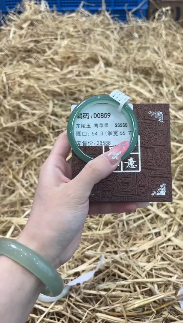 未镶嵌手镯石英质玉D0859