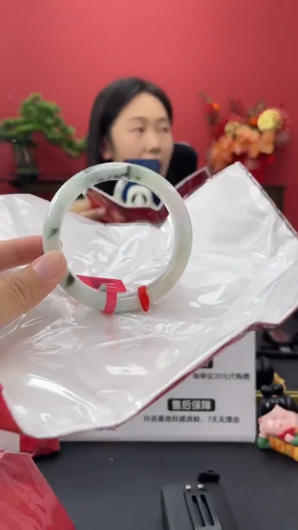 未镶嵌手镯翡翠9