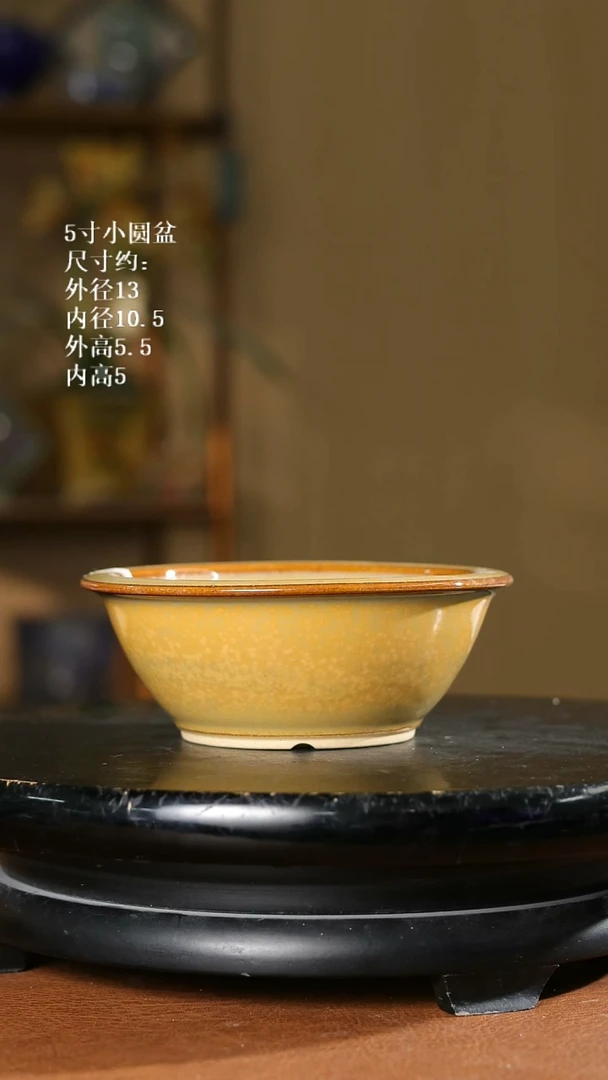5寸小圆盆   秋叶黄 随机发货
