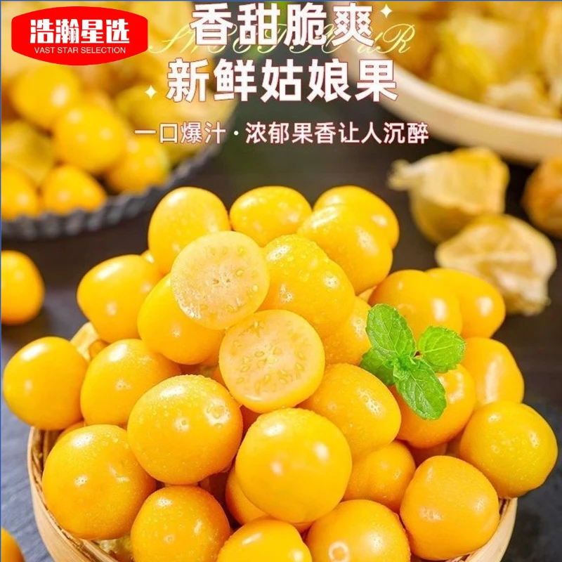 HH东北姑娘果新鲜采摘灯笼果一整箱包邮头茬当季水果产地直发