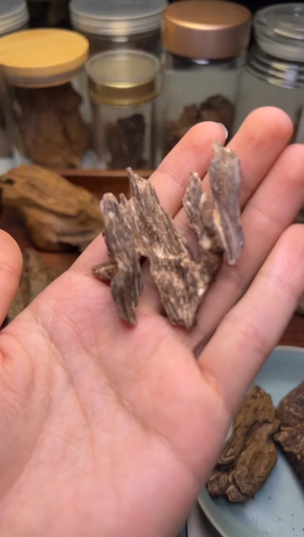 沉香柬埔寨戈公香材6.1克