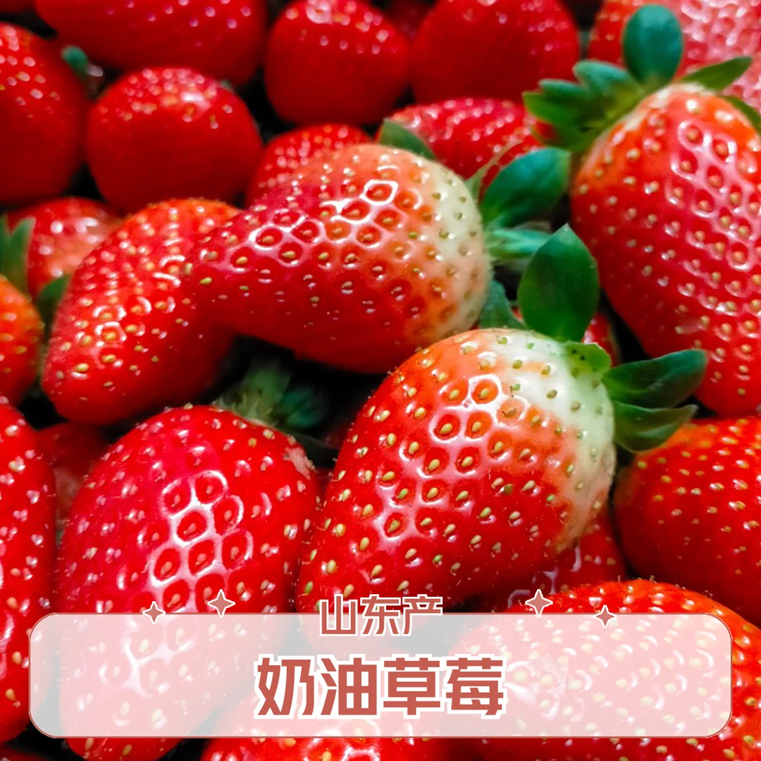 山东奶油草莓1公斤 包邮到家
