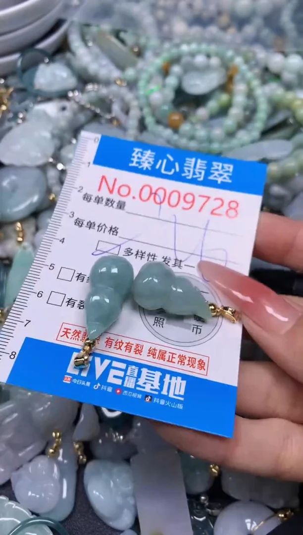 【闪购商品】翡翠颈饰未镶嵌含绳0009728
