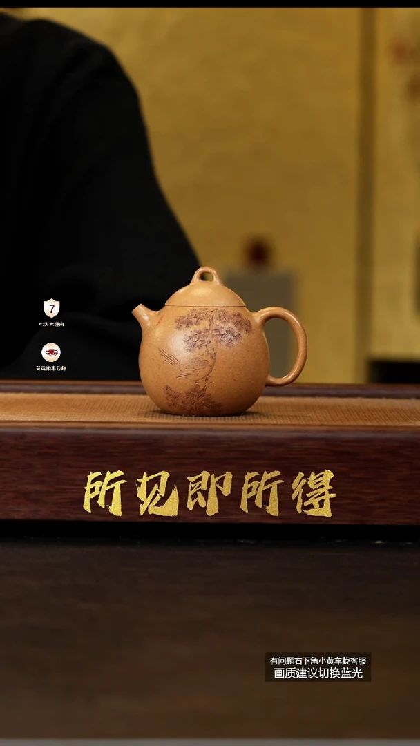 茶壶紫砂蒋工堂原矿老宕口黄金段龙蛋