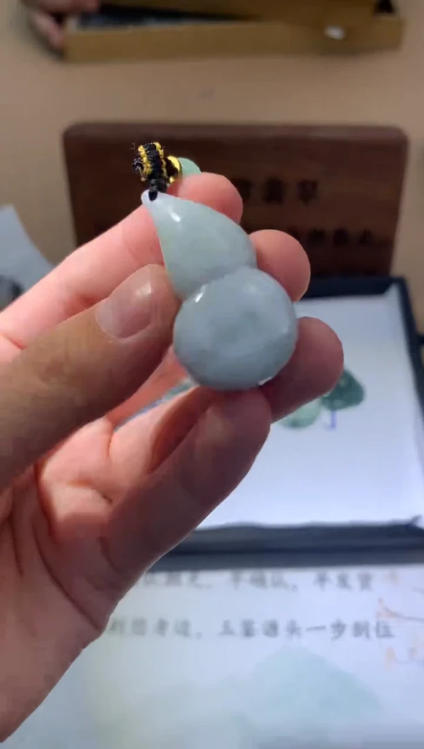 颈饰未镶嵌翡翠翡翠挂件 多样性发一件