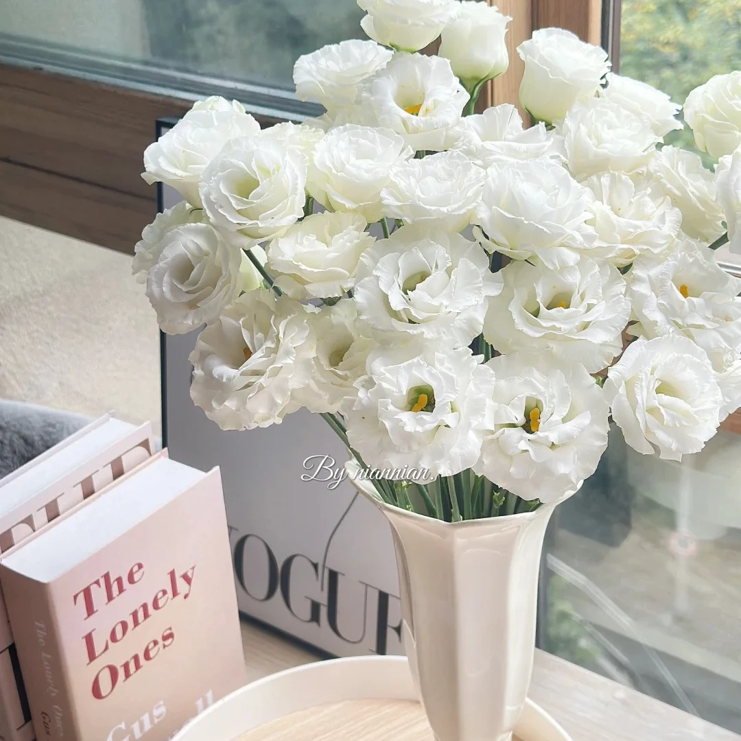 明日必达【A级洋桔梗】A级洋桔梗  精选新鲜现货 两单顺丰包邮