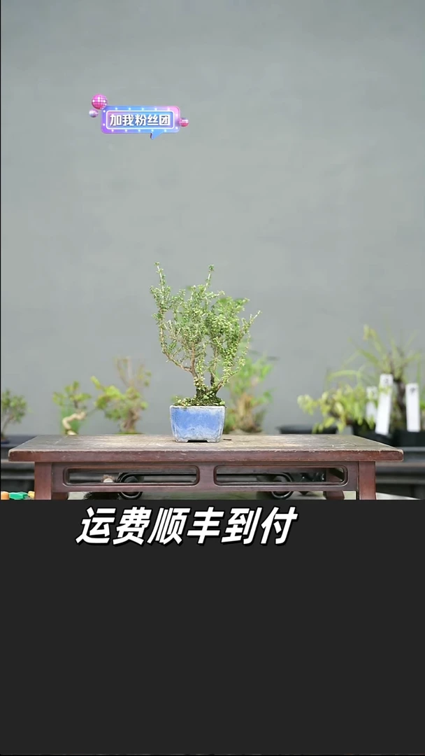 方*75