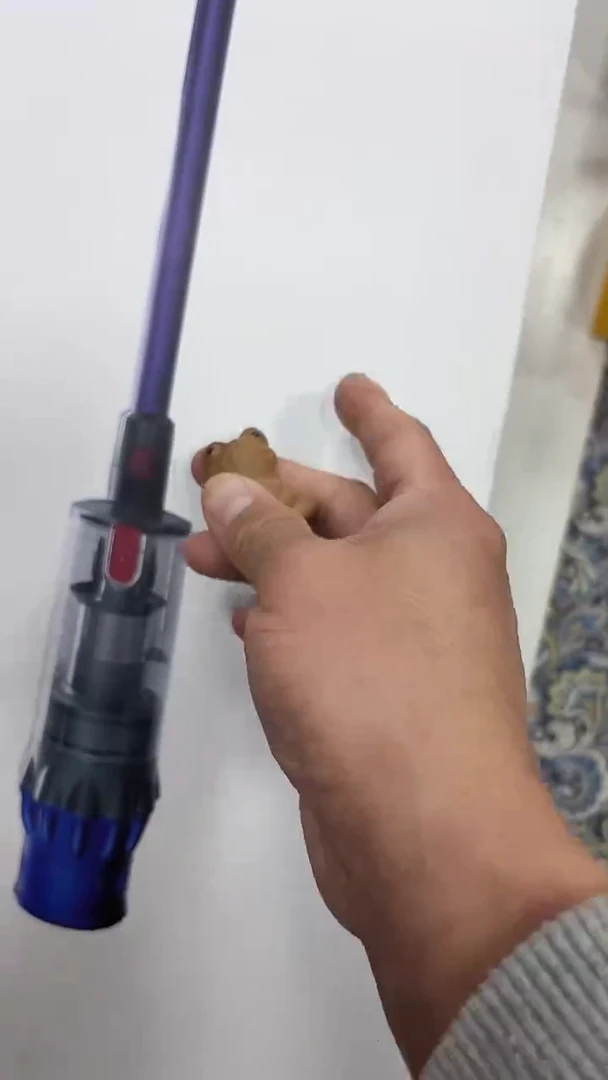 瓷片小****i名品折扣名品折扣名品折扣@@1