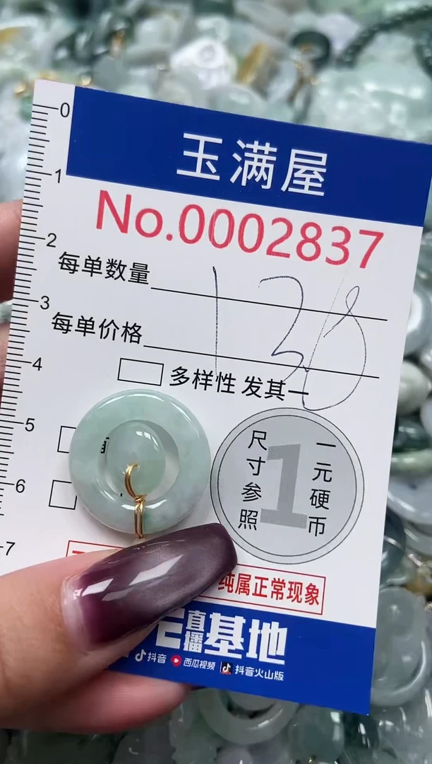 颈饰未镶嵌翡翠2837