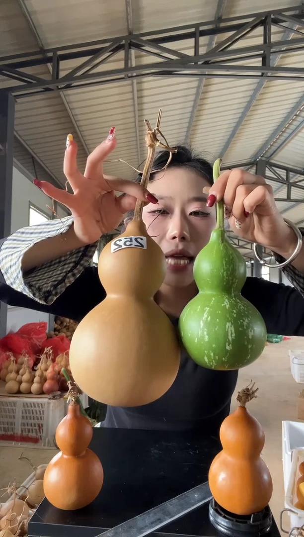 252天然葫芦摆件 一物一拍龙头不保售后青皮葫芦不保售后有瑕疵