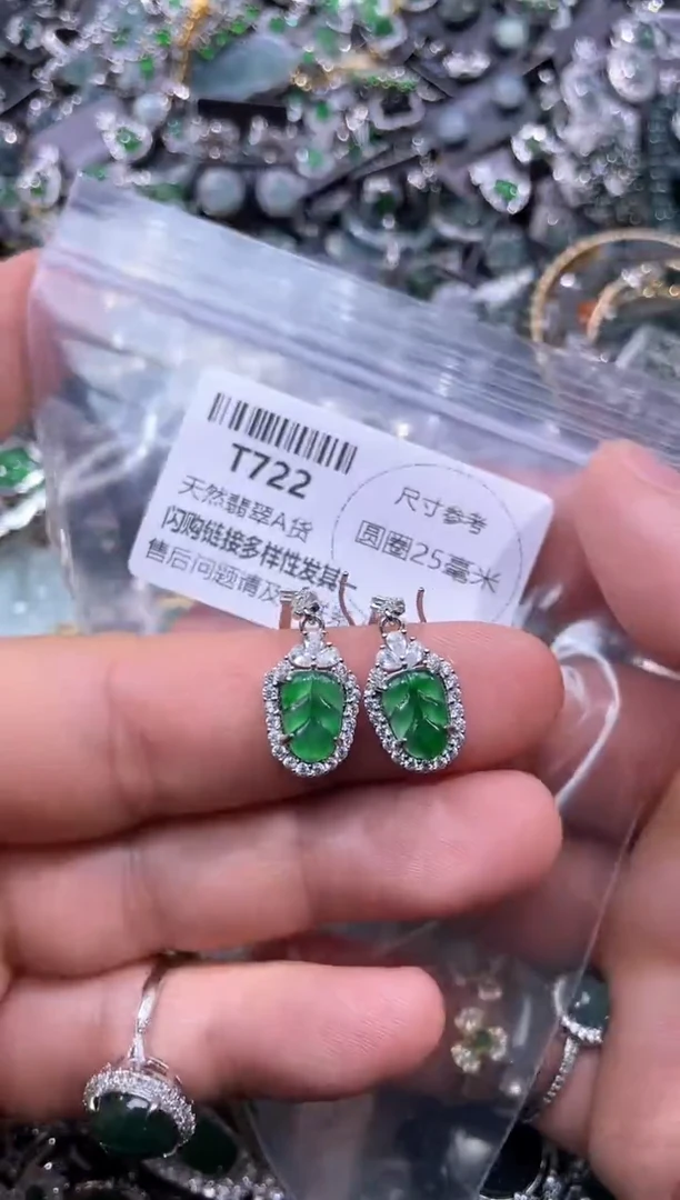 【闪购商品】翡翠颈饰未镶嵌T722耳钩
