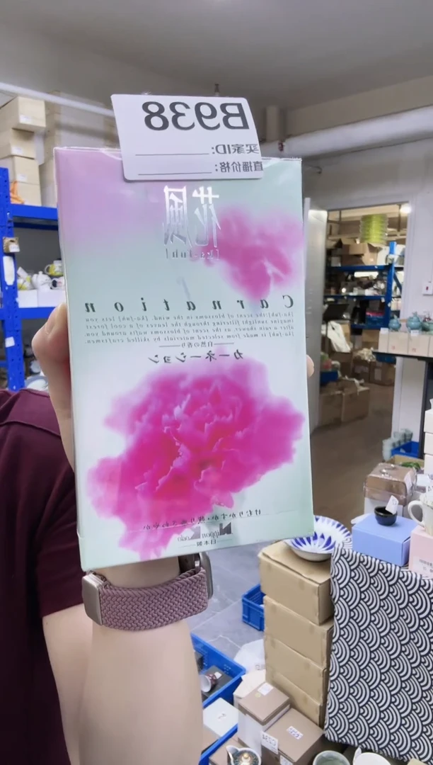 瓷片进口家用百货 B938香一盒 康乃馨