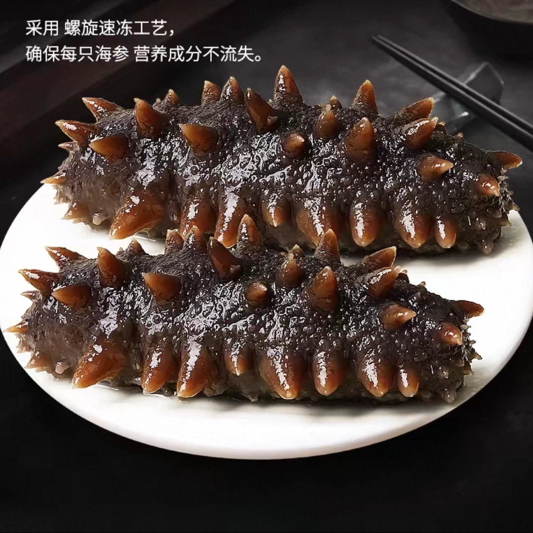 【AA大连鲜食海参】1斤8-10个头深海捕捞辽刺参即食海参 500g/包*3