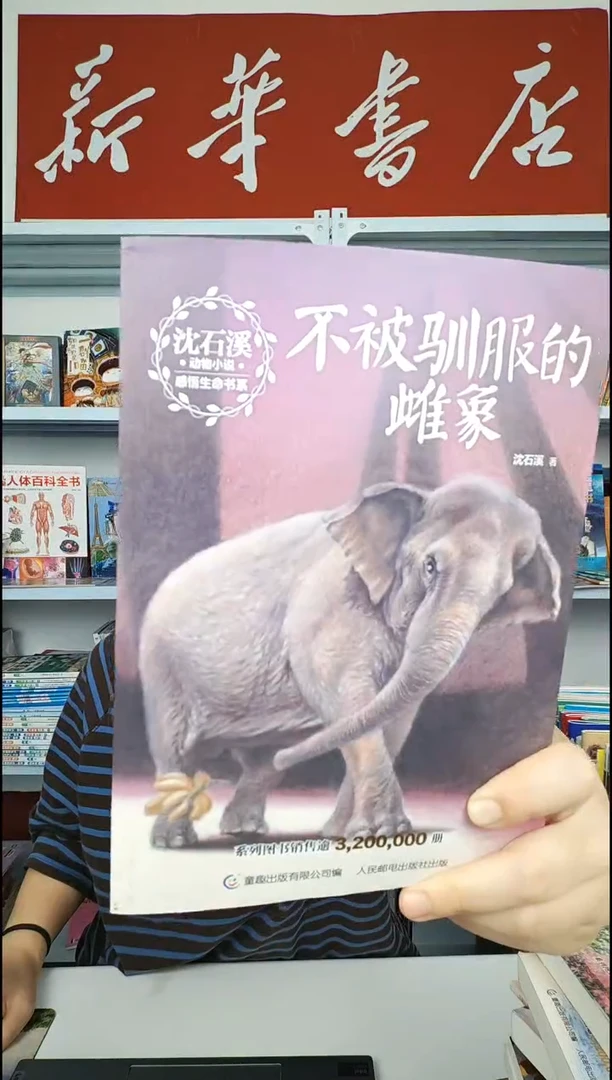 FL沈石溪NO退NO换