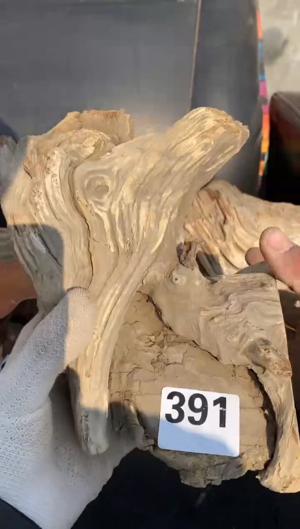 柏木（崖柏）太行陈化崖柏切片！随机（1单1片）391