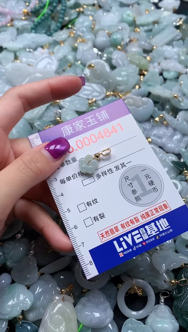 颈饰未镶嵌翡翠4841