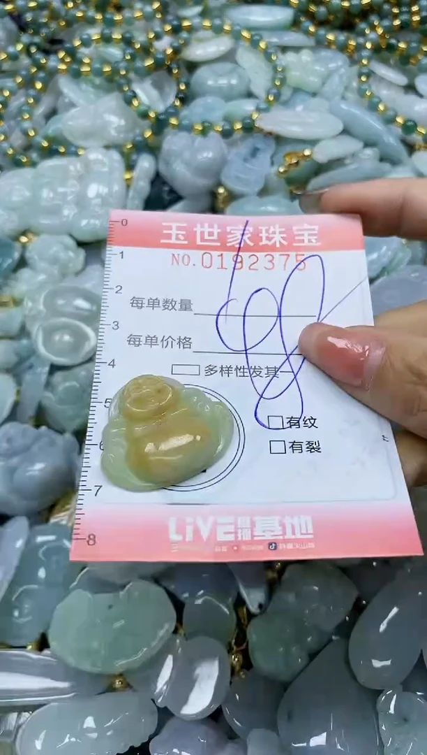 【闪购商品】翡翠颈饰未镶嵌闪购0192375