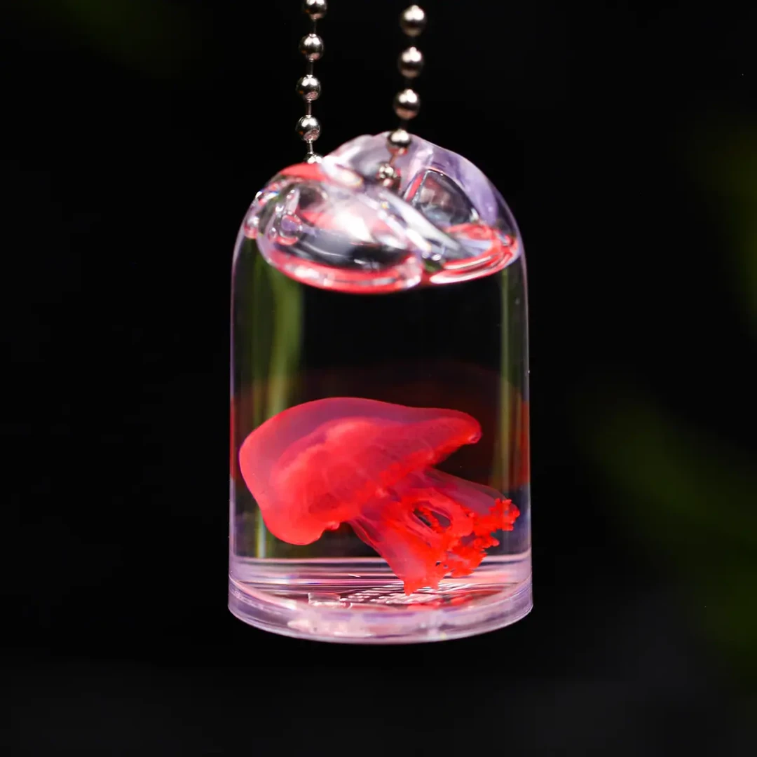 瓶子里的小水母~敲可爱的真水母标本迷你挂件缤纷水母Q链 非活体