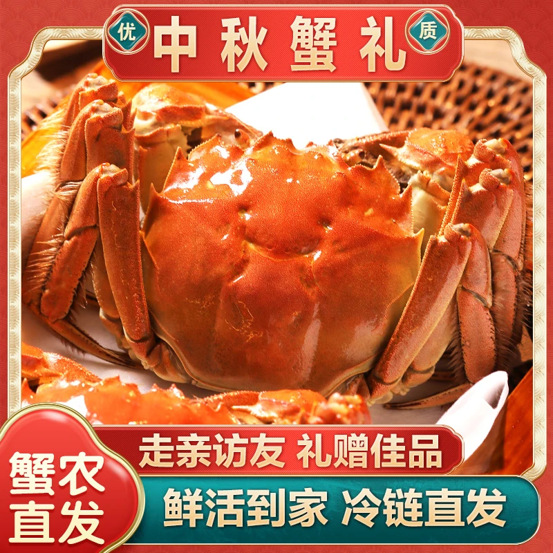 【活蟹】江苏大闸蟹全母⒉8-⒊1两8到10只装 没黄包赔 生鲜冷链
