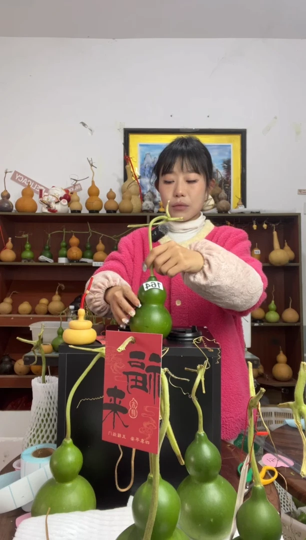 164天然葫芦摆件 一物一拍龙头不保售后