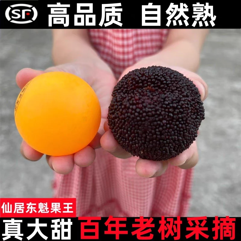 9A东魁杨梅正宗仙居东魁杨梅鲜果新鲜当季孕妇水果现摘11-30gg杨梅同城送浙江省