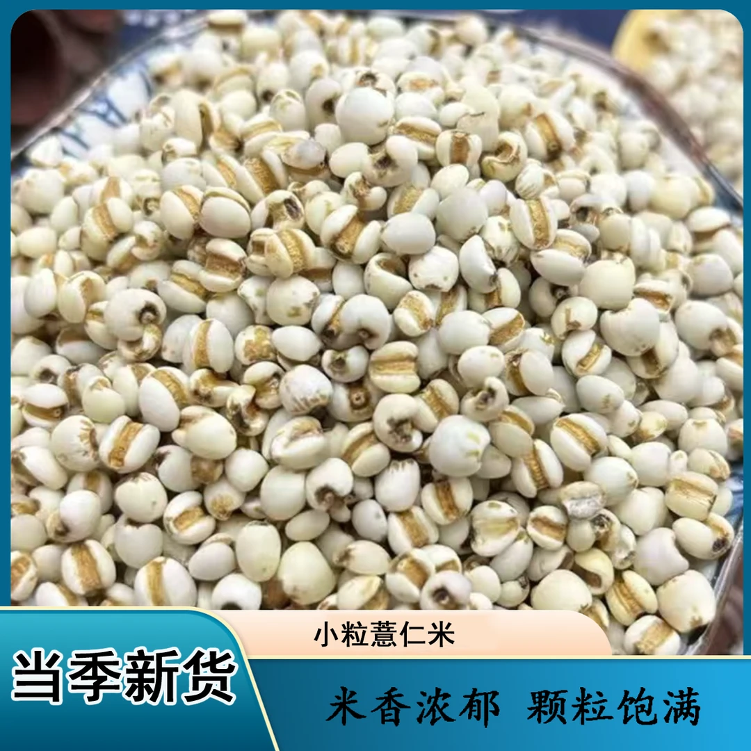 当季新货小粒薏米仁农家自种老品种可煲汤煮粥煮水新鲜五谷杂粮
