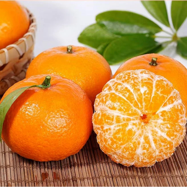 【产地直发】正宗广西武鸣沃柑果园直发超甜多汁新鲜采摘