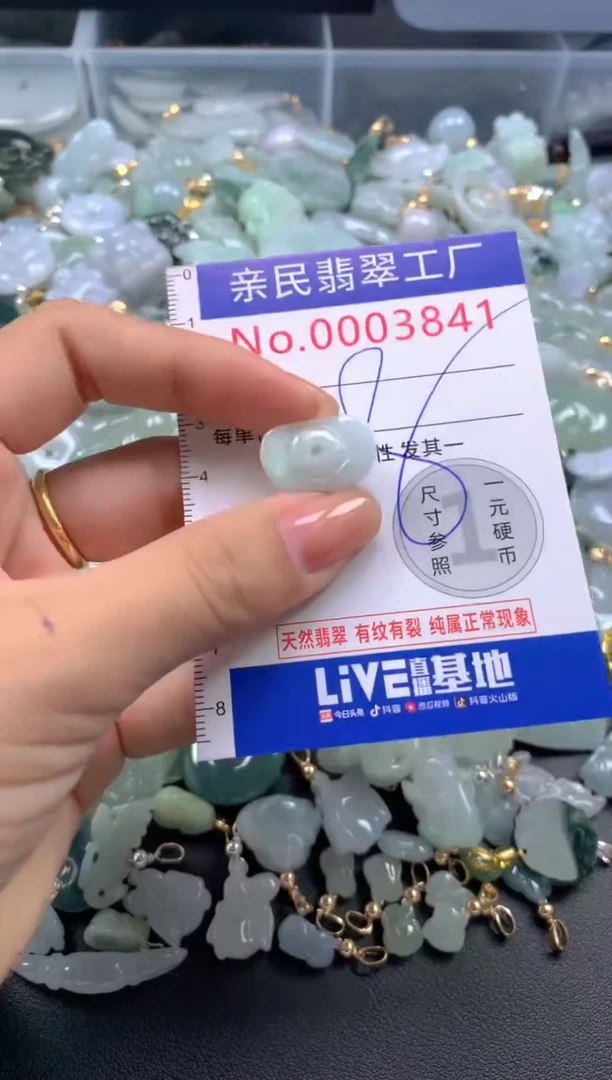 颈饰未镶嵌翡翠3841