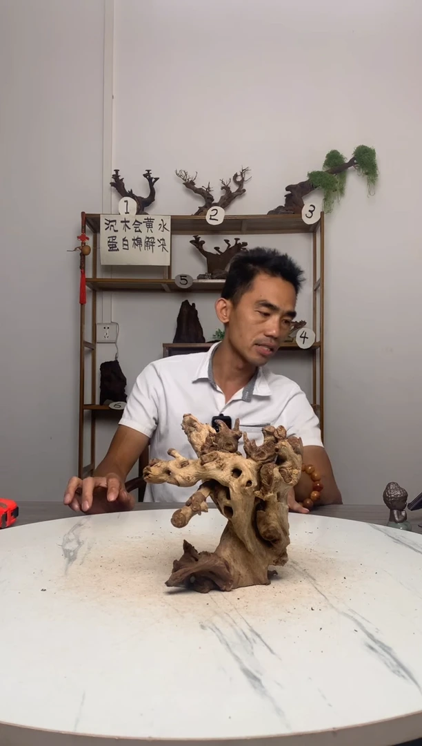 一****月鱼缸造景沉木摆件