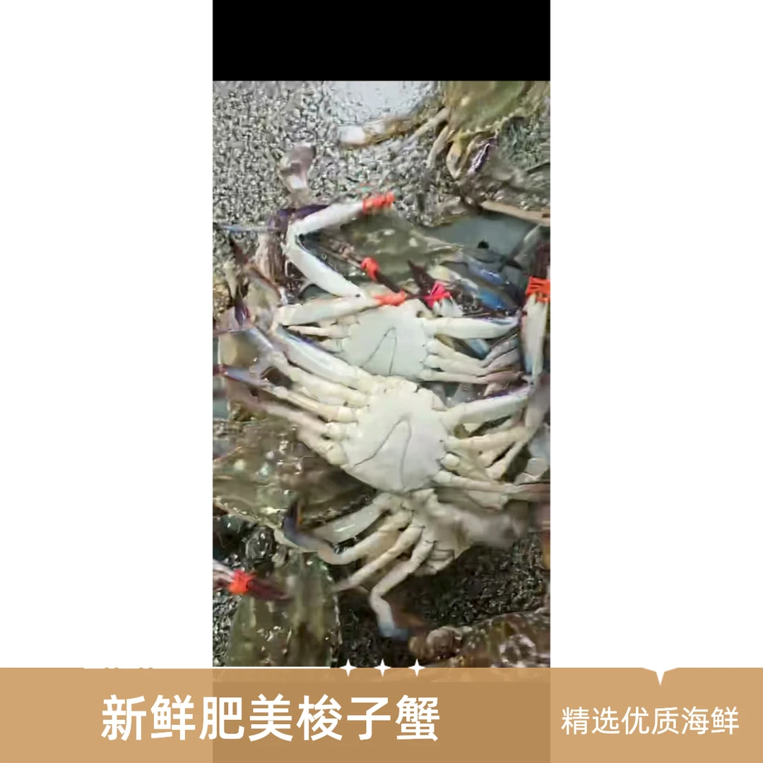 【保鲜不保活】丹东本地尖蟹单只2-3两3斤10只左右 顺丰发货