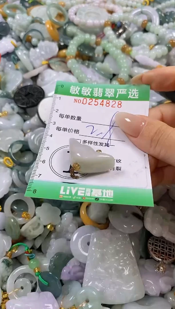 翡翠未镶嵌颈饰闪购0254828