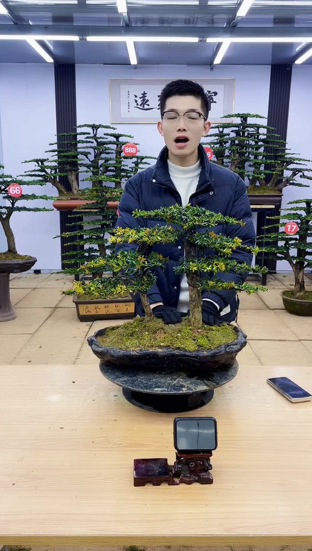 【闪购商品】000000000000