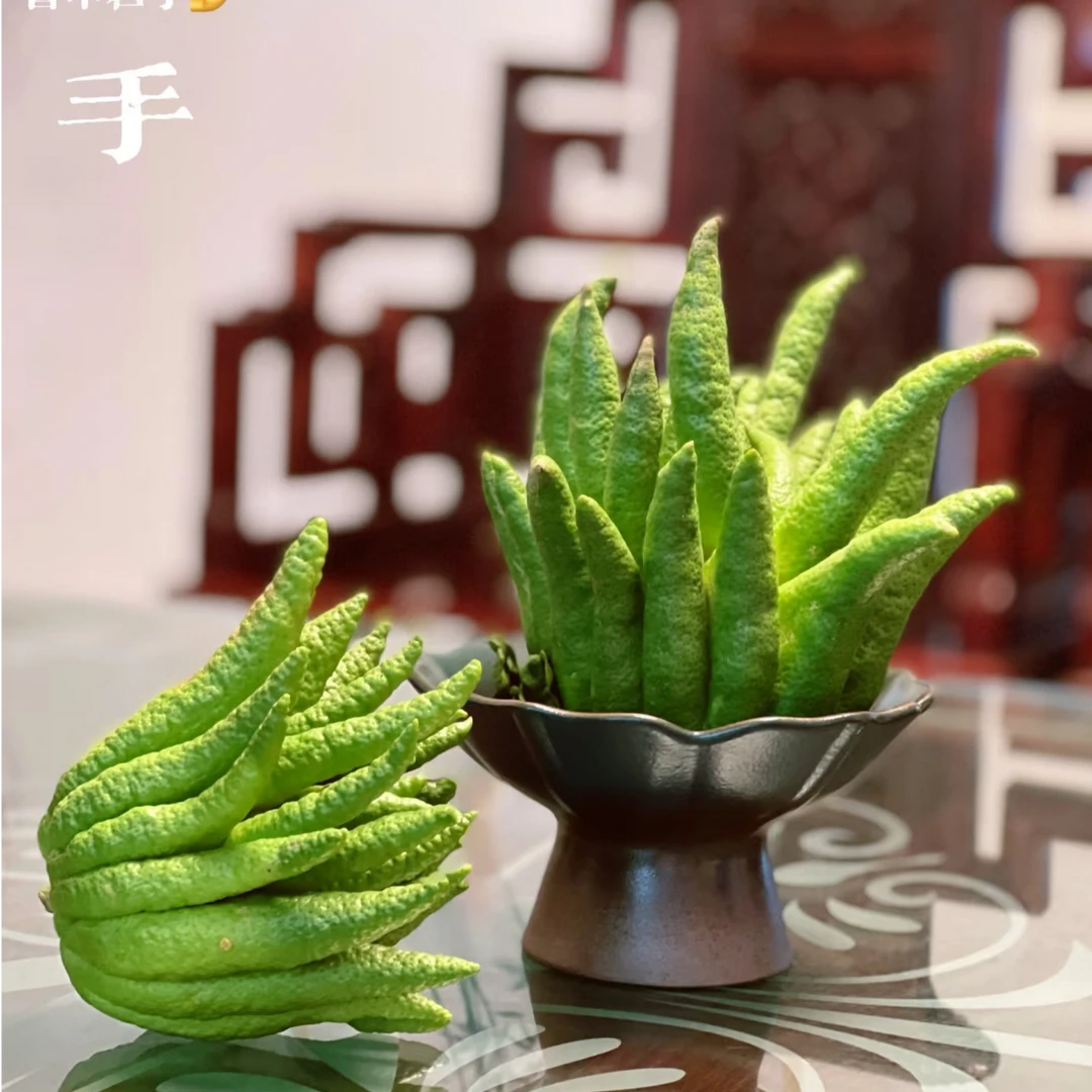 A【云舍花卉】佛手精选一物一拍A351-400