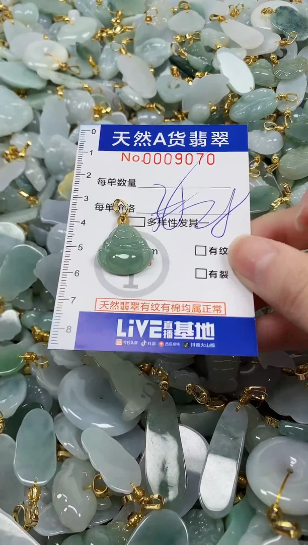颈饰未镶嵌翡翠纯天然a货翡翠