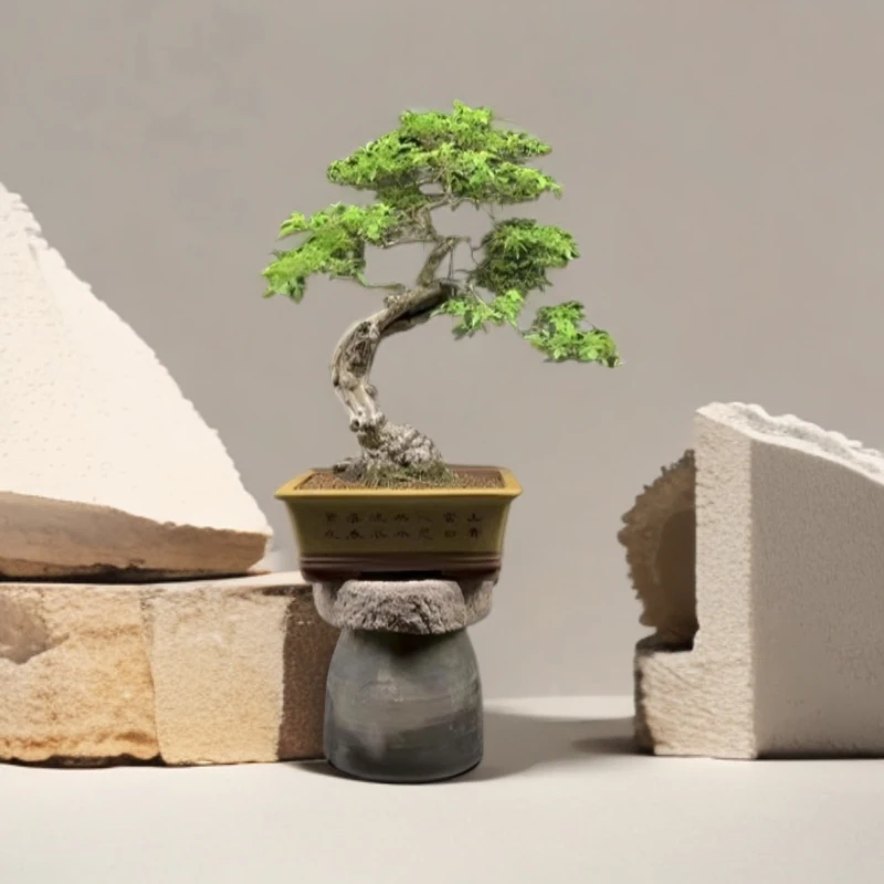 黄荆盆景一物一拍