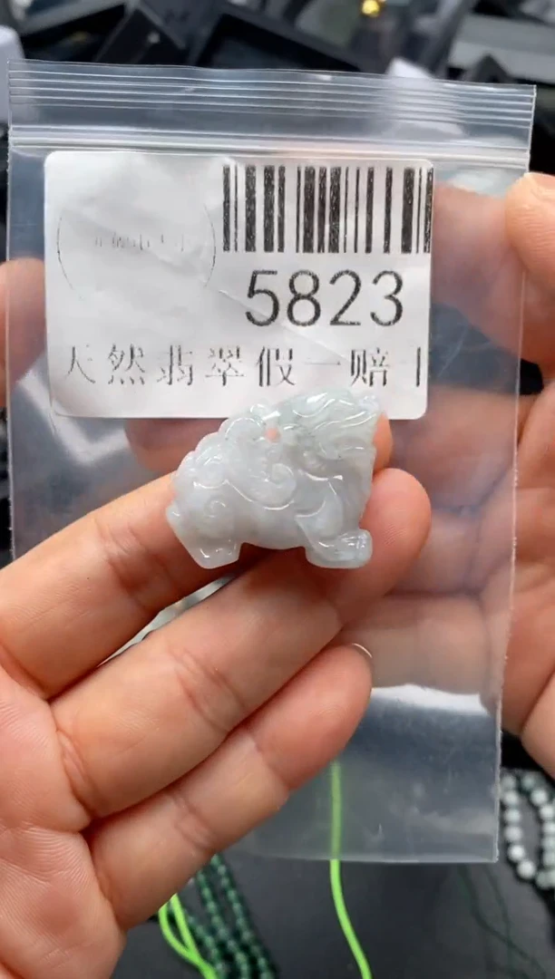 翡翠未镶嵌吊坠(不含链)5823