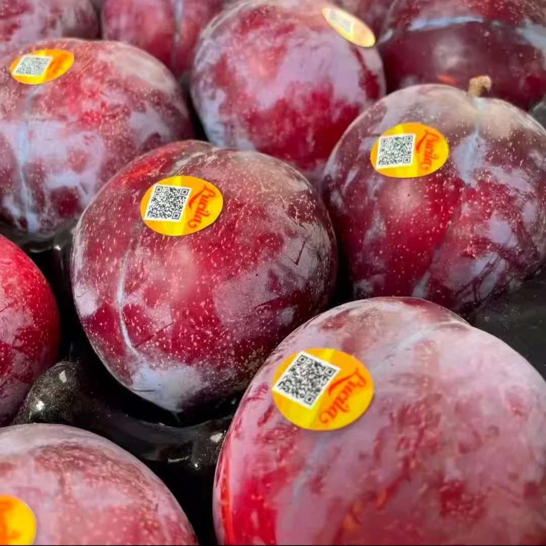 【10J紫金苹果李】巨无霸智利进口苹果李子新鲜孕妇水果当季包邮到家G