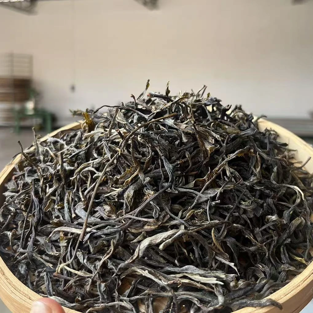 勐库大叶种2025年邦改古树散茶