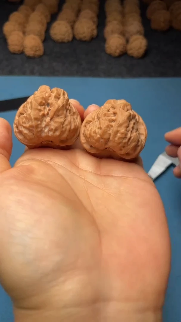 桃核把件w76  蛤蟆头 37尺