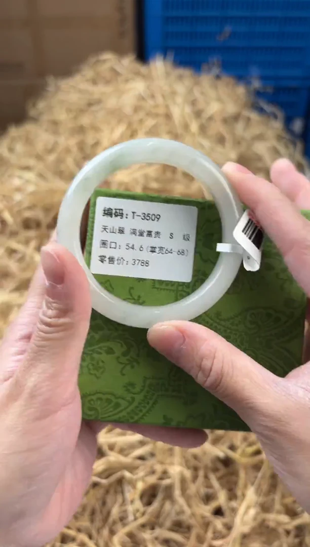 未镶嵌手镯石英质玉T-3509