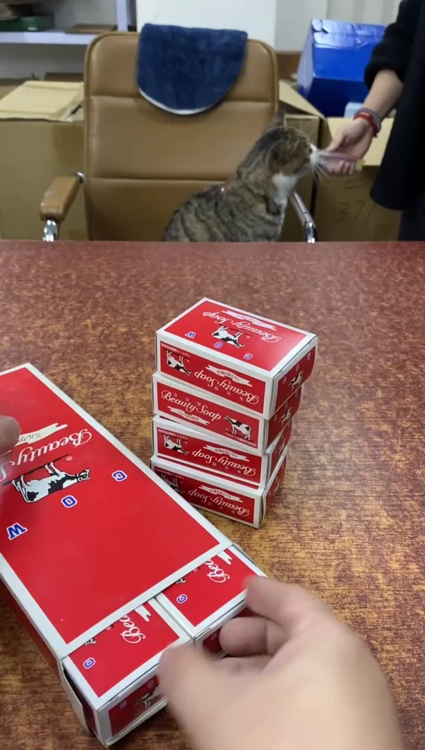 瓷片599小林轩欢迎您