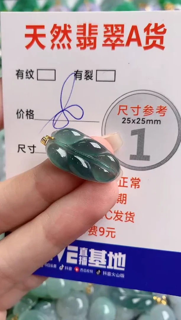 翡翠18K金镶嵌颈饰14006737