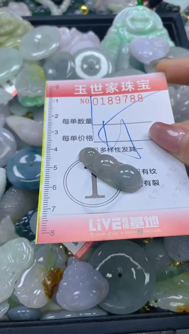 【闪购商品】翡翠颈饰未镶嵌闪购0189788