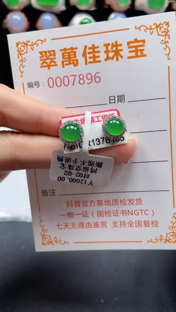 银S925镶嵌翡翠耳饰7896