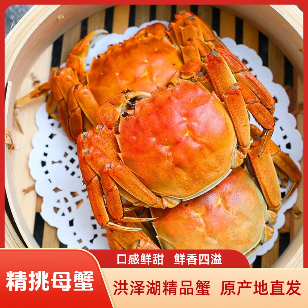 【现捕活蟹】2.2-2.5两全母洪泽湖大闸蟹6只送2只到手8大只顺丰京东