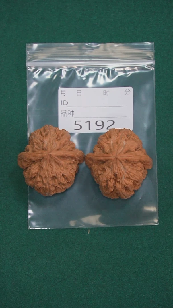 把件文玩核桃和****643粗筋