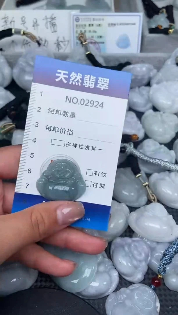 颈饰未镶嵌翡翠纯天然A货翡翠2924