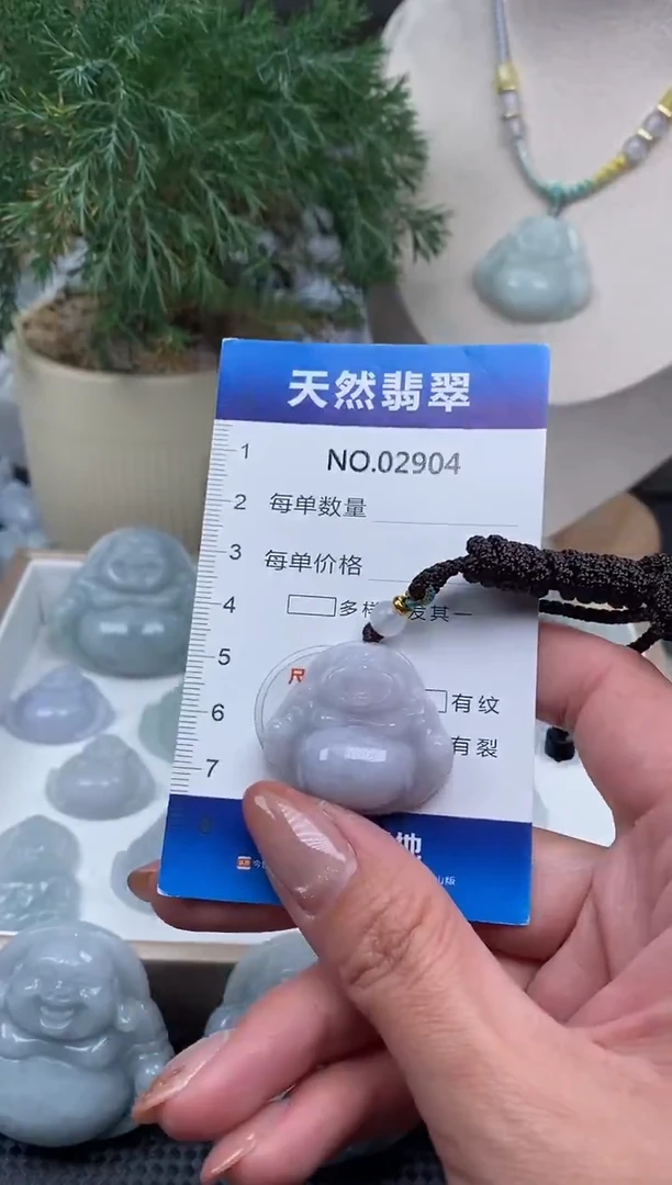 颈饰未镶嵌翡翠纯天然A货缅翡2904